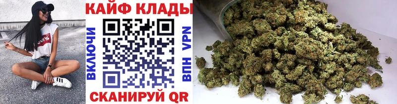 Виды наркотиков купить Черкесск Конопля  Кокаин  APVP  МЕФ  ГАШИШ 