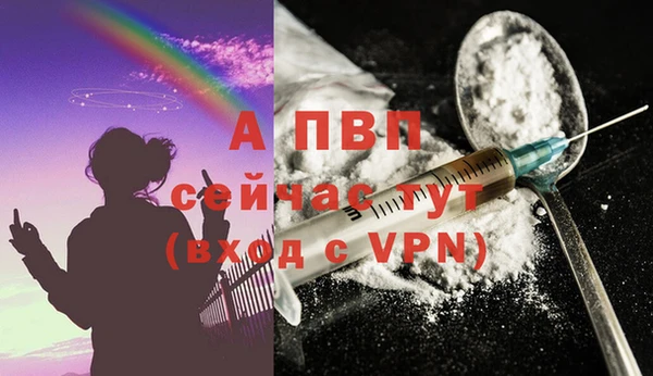 прущие крисы Медвежьегорск
