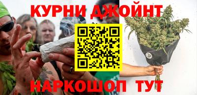 сатива Беслан