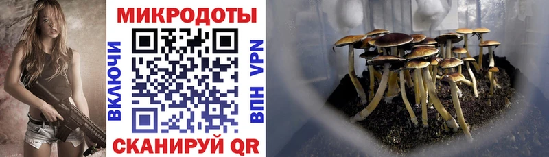 Галлюциногенные грибы мухоморы  Черкесск 