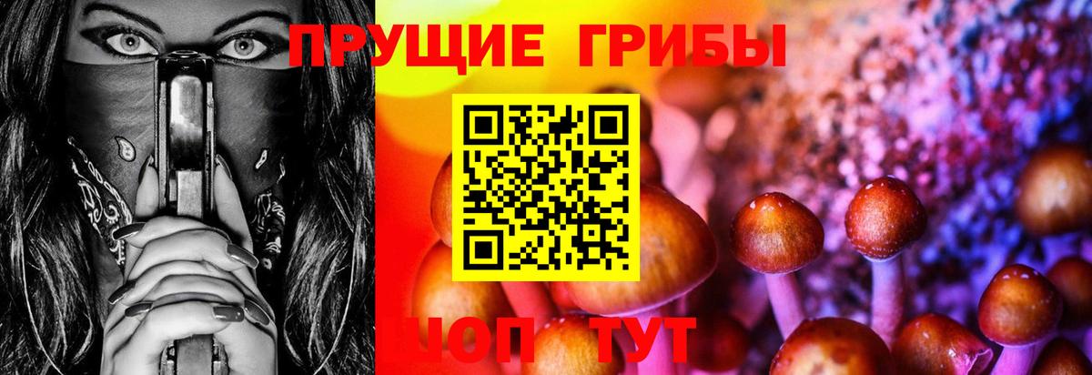 Черкесск  Псилоцибиновые грибы Cubensis  Псилоцибиновые грибы мицелий  купить  цена  Вход с VPN 